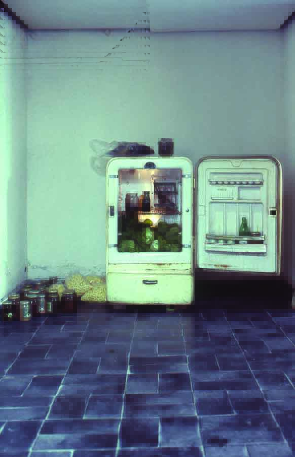 subREAL. "Alimentara," February 1991, installation detail, refrigerator with cabbage and spinach, jars, bottles. Orizont Gallery, Bucharest. Image courtesy of subREAL.