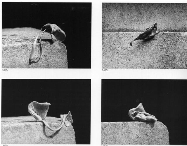 Alina Szapocznikow, Photosculptures (detail), (20 photographs, 1971). Image from the Exhibition Catalog.