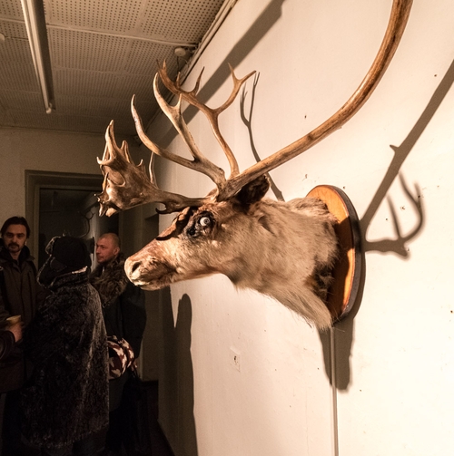 Anna Frants and CYLAND Media Lab, “On the Lookout.” Mounted head of deer, artificial eyes, sensors, cameras, computer programming. Dimensions variable, 2014. Image courtesy St. Petersburg Arts Project, Inc.