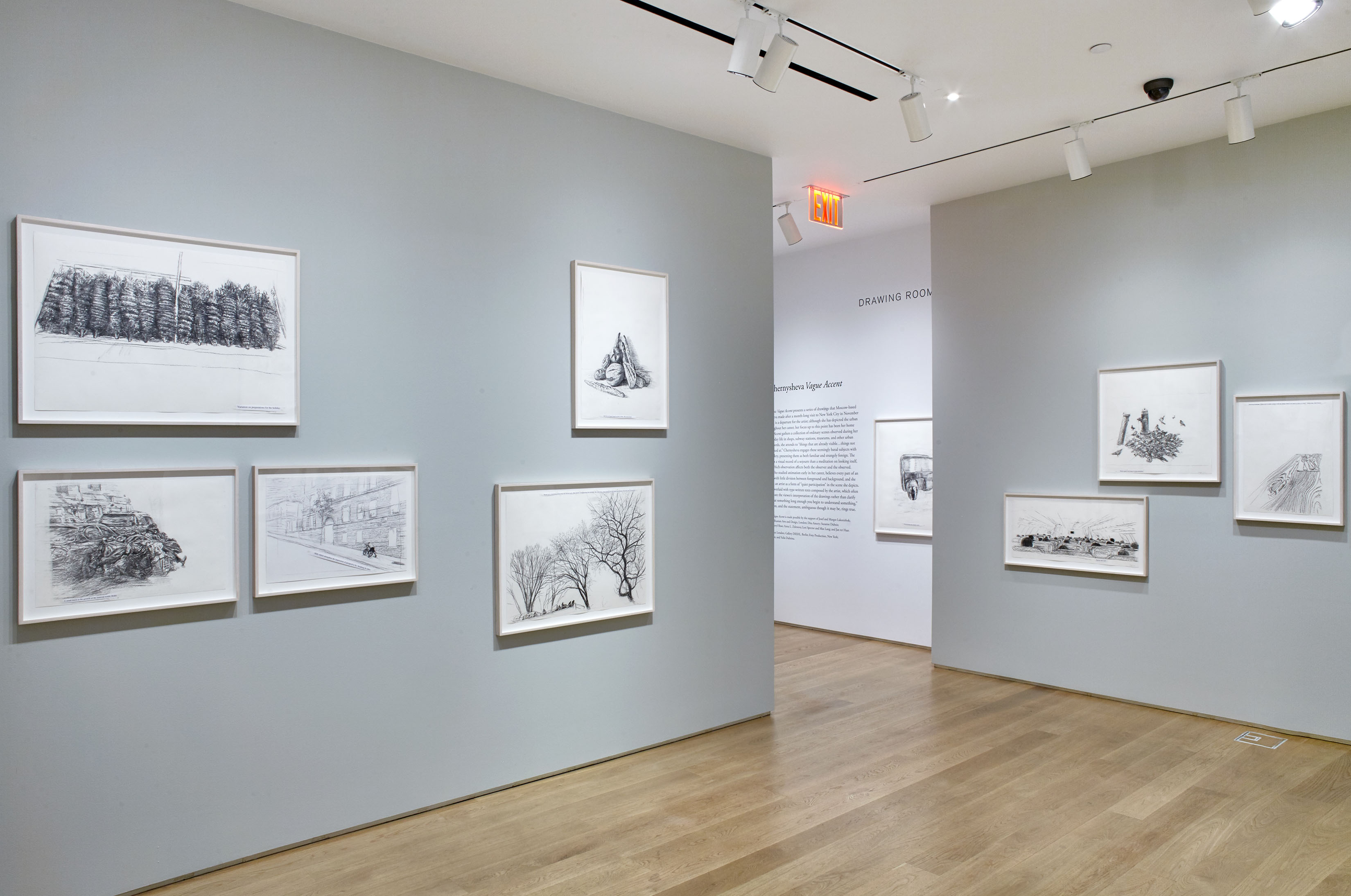 “Olga Chernysheva: Vague Accent,” Installation view at The Drawing Center, New York, 2016. Photo by Martin Parsekian. Image courtesy The Drawing Center.