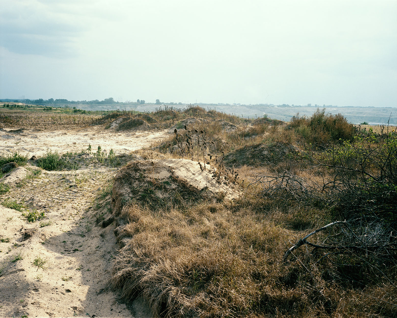 A sandy area on the left, and grass on the right.