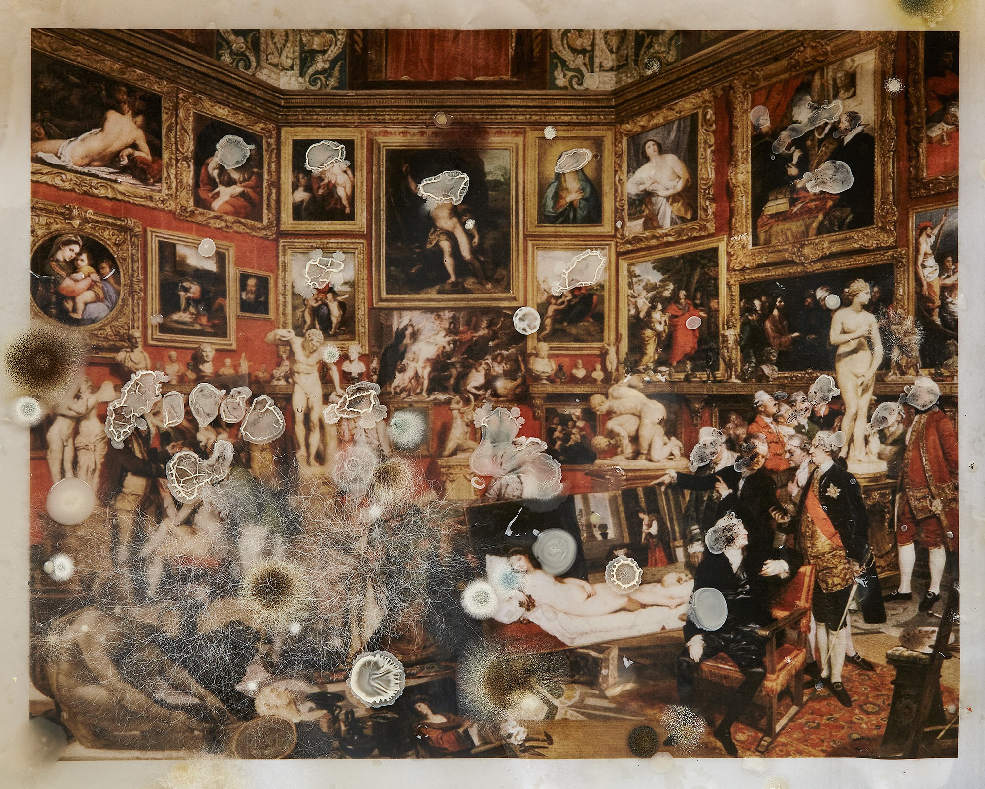 A damaged photograph of a room with walls covered in portraits of women
