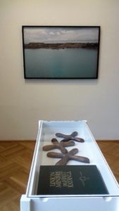 Sammy Baloji’s Extractive Landscapes exhibition installation view