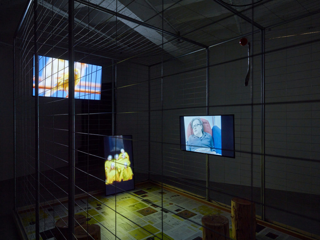 The Canary Archive installation view comprising a large metal cage with TV monitors. The floor is covered with newspaper pages.